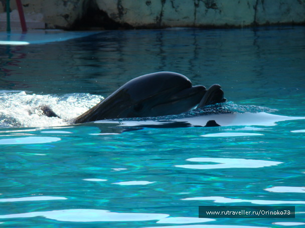 photo 203525