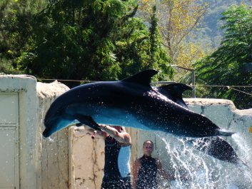photo 203526
