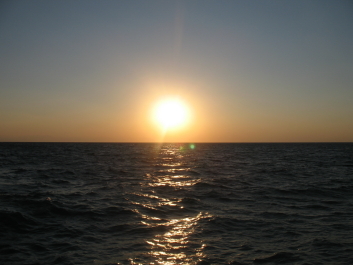 photo 42271