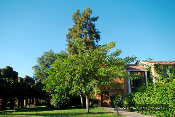 photo 424461