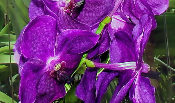 __DSC007821ms