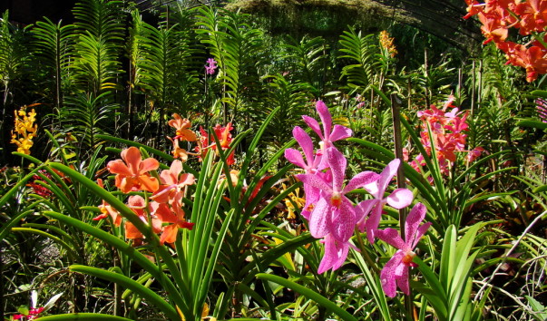 DSC00701
