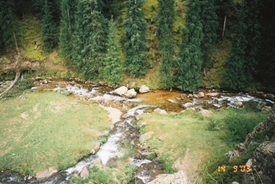 photo 211345