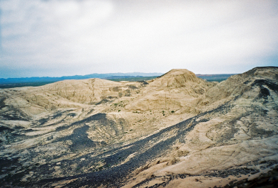 photo 264505