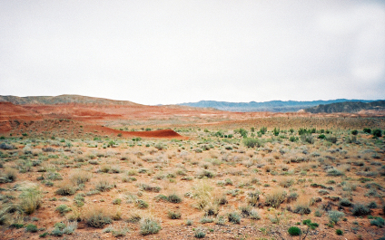 photo 264506