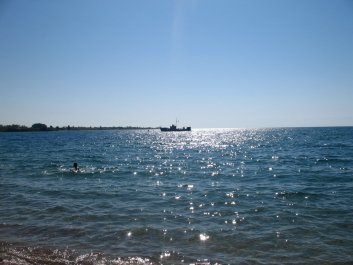 photo 222523