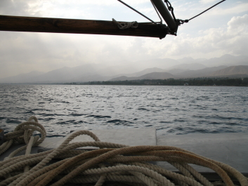 photo 222524