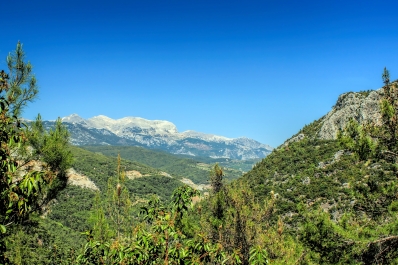 photo 977129