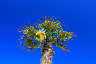 photo 430543