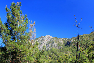 photo 663222