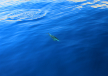 photo 357861