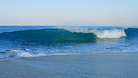 photo 411078