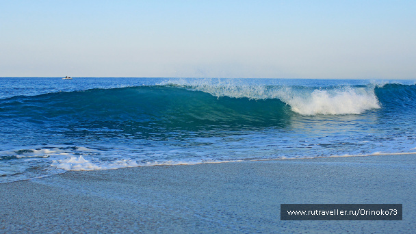 photo 411078