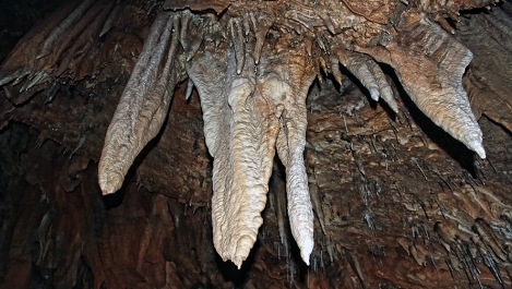 photo 897117