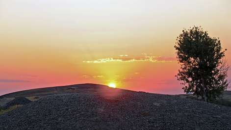 photo 437277