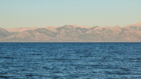photo 516045