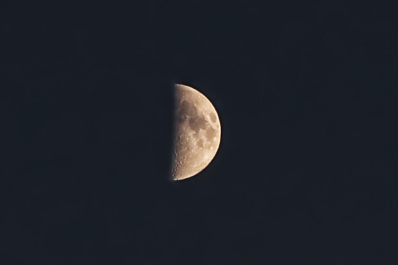 photo 528628