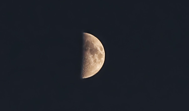 IMG_Bl_3458