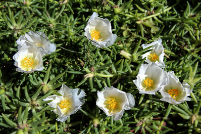 photo 589197
