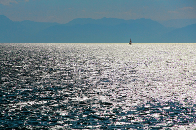 photo 631931