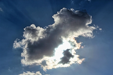 photo 741844