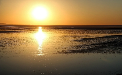 photo 751014