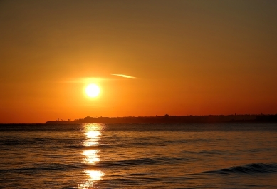 photo 770731