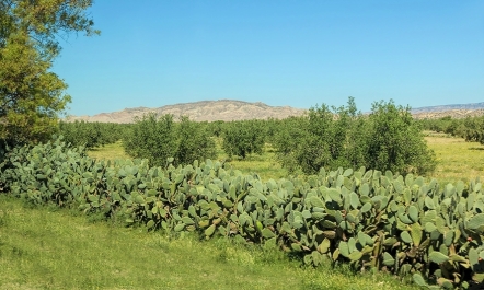 photo 778450