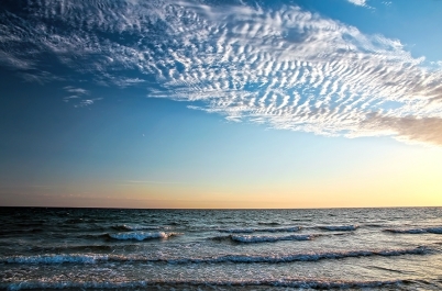 photo 877855