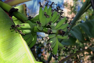 photo 877860