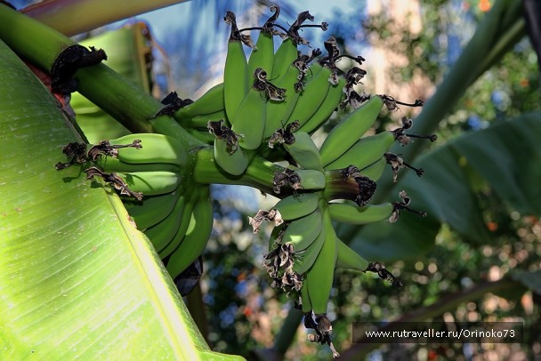 photo 877860