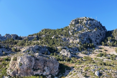 photo 899679