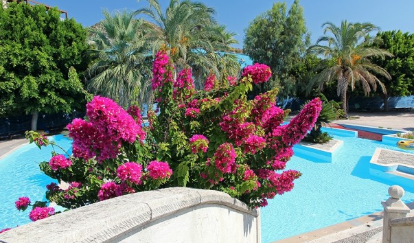 IMG_Rhodes_5596ms