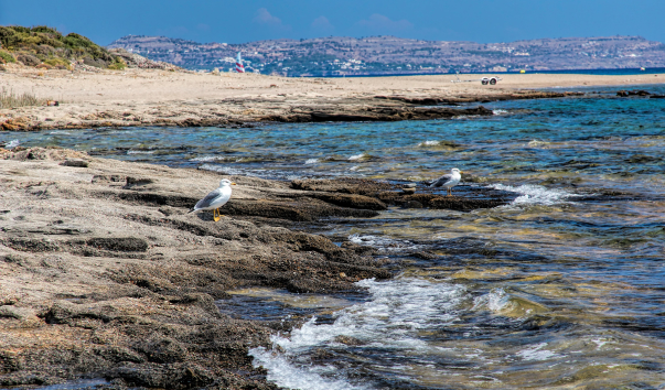 $IMG_Rhodes_6093jm