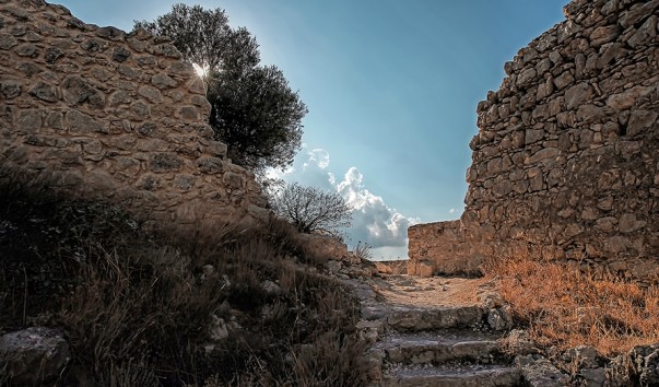 _IMG_Rhodes_4068ms