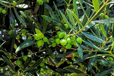 photo 861451