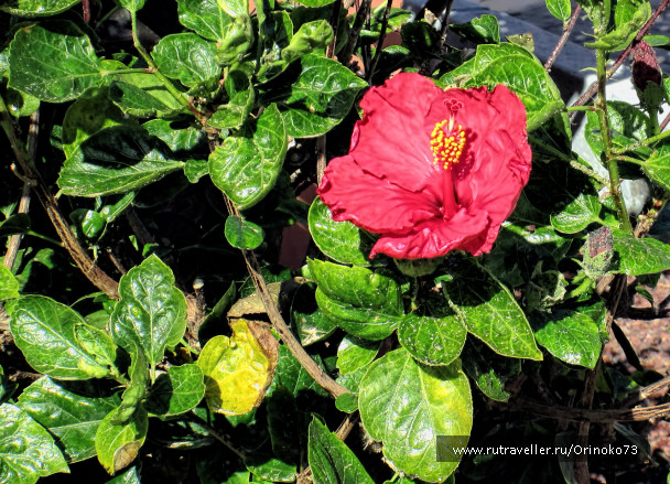 photo 997392