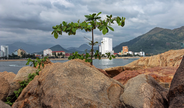 _IMG_Vietnam_3105jm