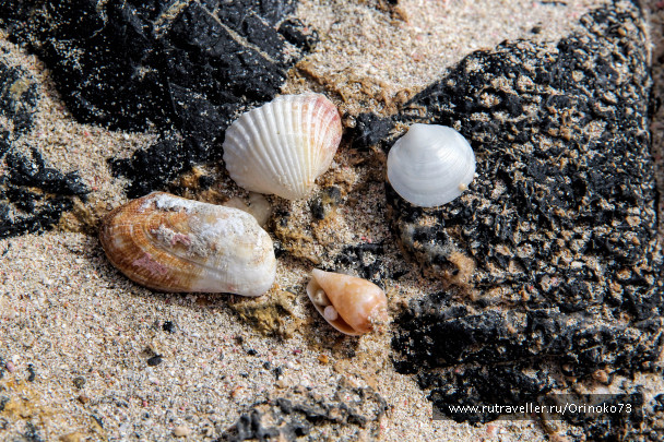 photo 1407018