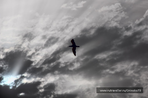 photo 1407023