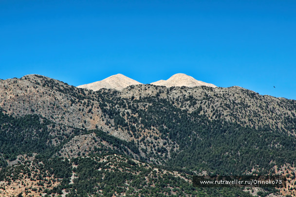 photo 1417396