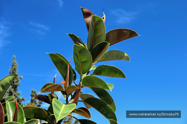 photo 1457045