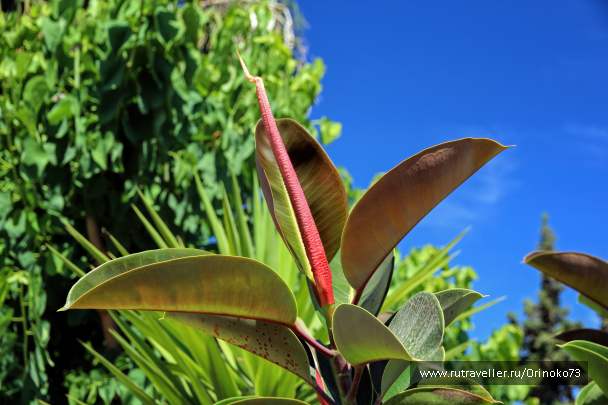 photo 1457046