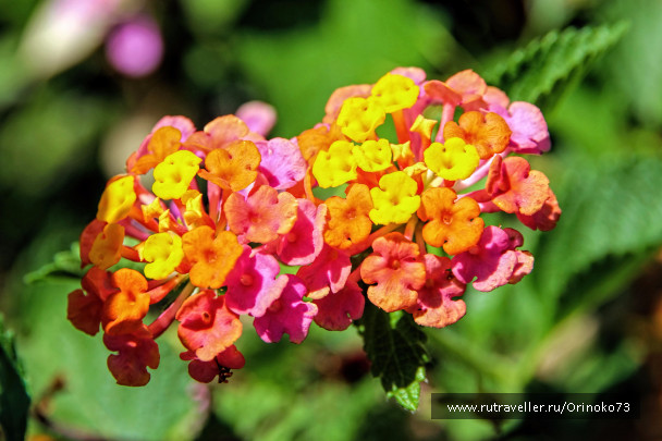 photo 1457441