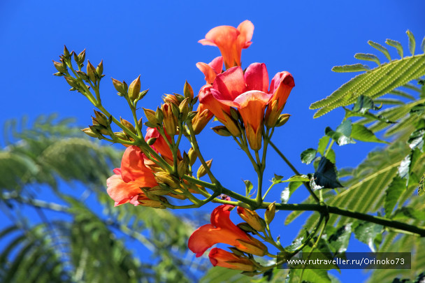 photo 1457443