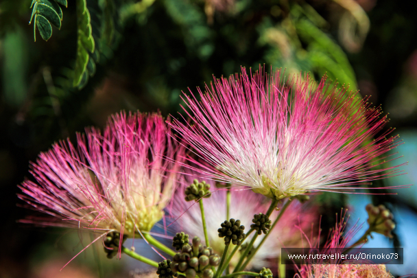 photo 1457448