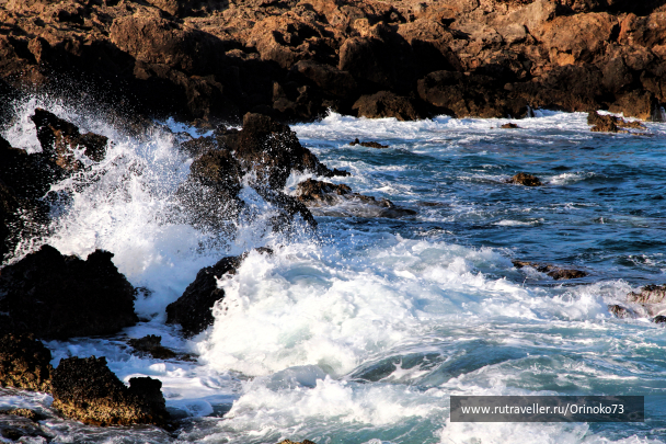 photo 1649317