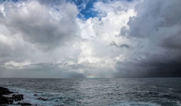 _IMG_2509jm