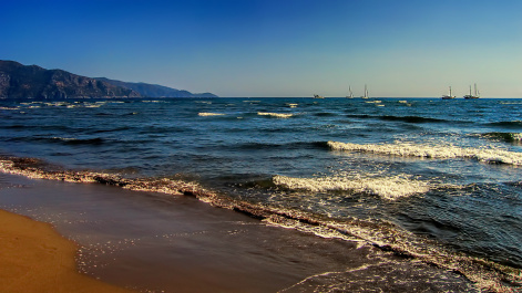 photo 464872