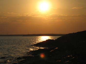 photo 197337